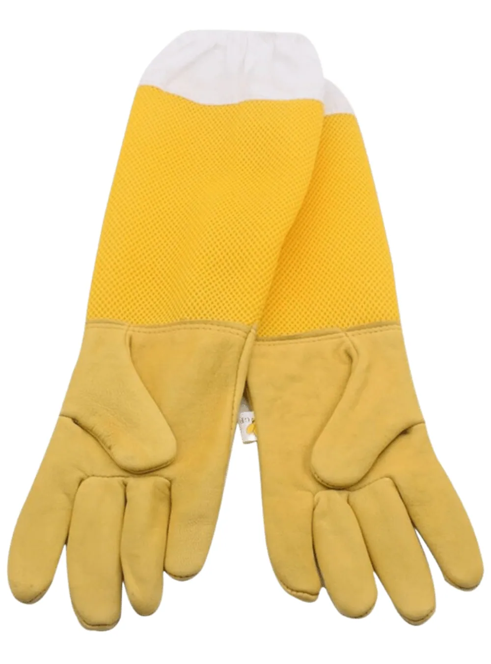 Measuring the palm for beekeeping gloves sizing, with the thumb excluded
